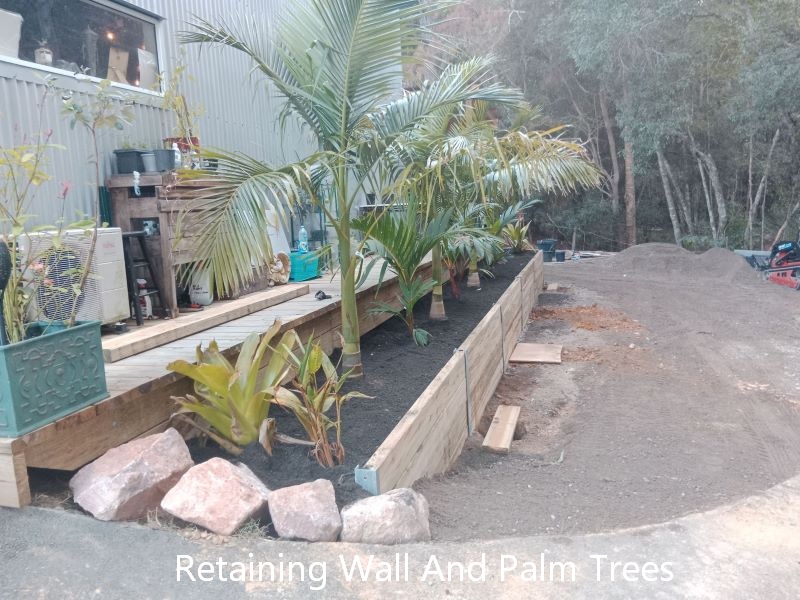 Retaining wall and palm trees